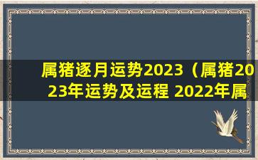 属猪逐月运势2023（属猪2023年运势及运程 2022年属猪人的全年每月运势）